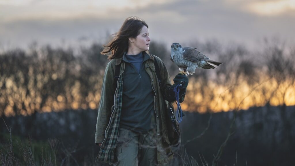 Helen played by Claire Foy, standing in a field during twighlight, a row of trees behind her, with Mabel the Hawk perched on her arm