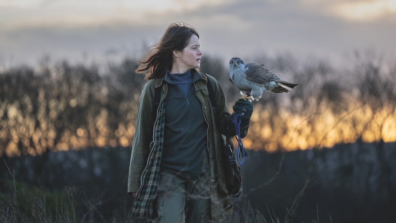 Helen played by Claire Foy, standing in a field during twighlight, a row of trees behind her, with Mabel the Hawk perched on her arm